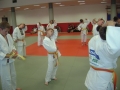 Zaključno kolo prleške judo lige