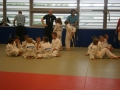 Zaključno kolo prleške judo lige