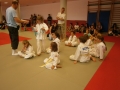 Zaključno kolo prleške judo lige