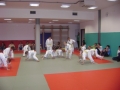 Zaključno kolo prleške judo lige