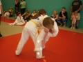 Zaključno kolo prleške judo lige