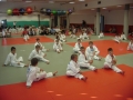 Zaključno kolo prleške judo lige