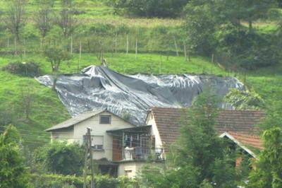 Plaz ogroža hišo na Zacherlovi ulici v Ljutomeru