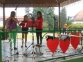 Zasebna glasbena šola Maestro Gornja Radgona