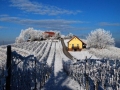 Zasnežena Prlekija