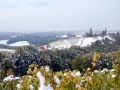 Zasneženi prleški vinogradi