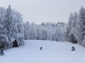 Zasneženo Pohorje