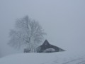 Zasneženo Pohorje