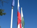 Zastave