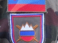 Znak Slovenske vojske