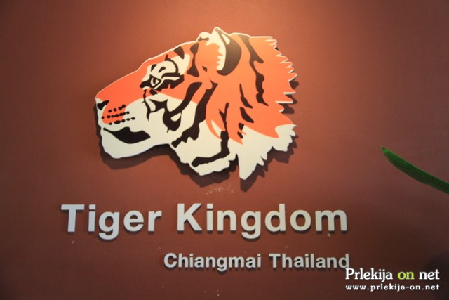 Tiger Kingdom