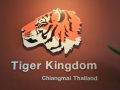 Tiger Kingdom