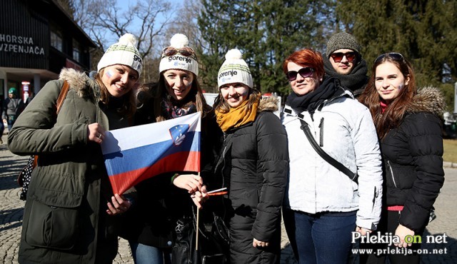 51. Zlata lisica 51. Zlata lisica