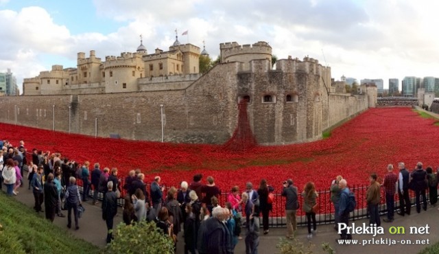 Tower of London z instalacijo »Blood Swept Lands and Seas of Red«