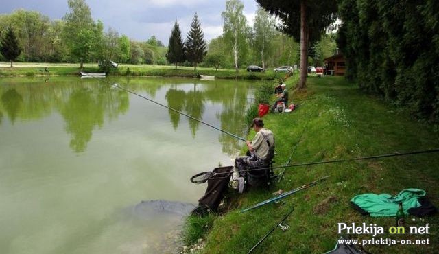 Maratonski ribolov v Podgradu