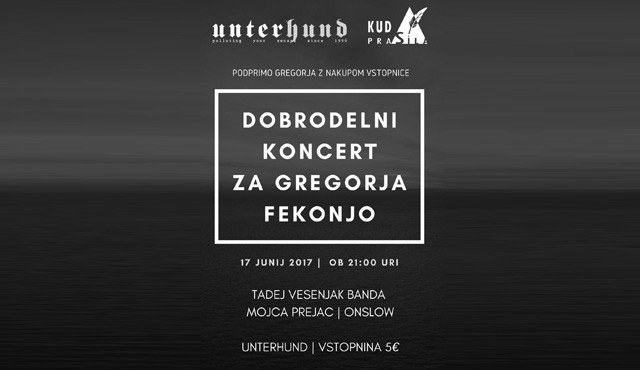 Dobrodelni koncert za Gregorja