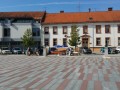 Turistična tržnica v Ljutomeru