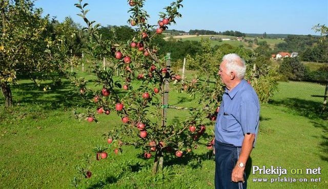 Sadovnjak na Goričkem Sadovnjak na Goričkem