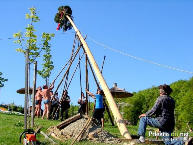 Postavljanje mlaja v Biotermah Postavljanje mlaja v Biotermah