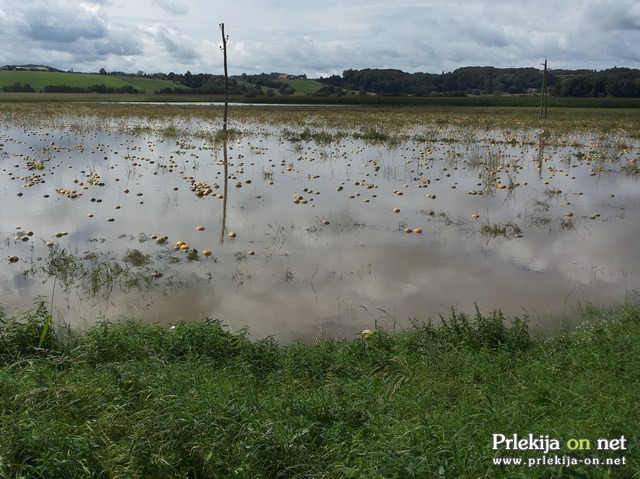 Poplave v Bolehnečicih in Berkovcih Poplave v Bolehnečicih in Berkovcih