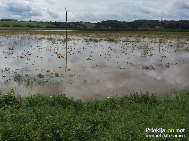 Poplave v Bolehnečicih in Berkovcih