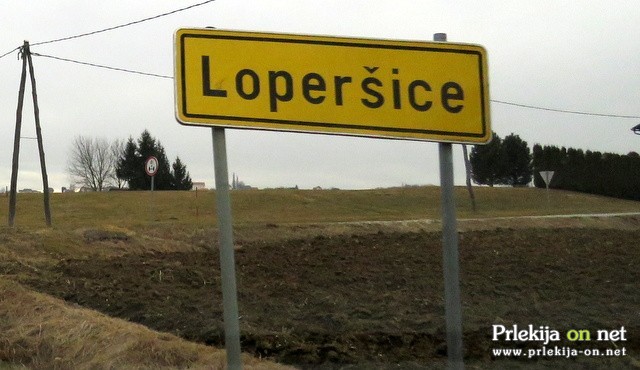 Psa so našli v gozdu na območju Loperšic Psa so našli v gozdu na območju Loperšic