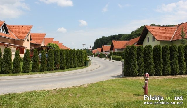 Na Razlagovi ulici je v mukah poginilo že šest mačk, tri mačke pa še vedno pogrešajo Na Razlagovi ulici je v mukah poginilo že šest mačk, tri mačke pa še vedno pogrešajo