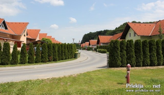 Na Razlagovi ulici je v mukah poginilo že šest mačk, tri mačke pa še vedno pogrešajo