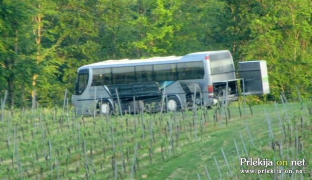 Turistični avtobus se je ustavil sredi prleških vinogradov