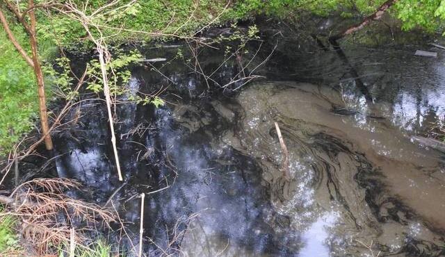 Onesnaženje Gibinskega potoka Onesnaženje Gibinskega potoka