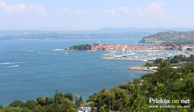 Izola Izola