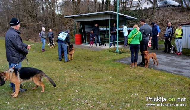 Tečaj šolanja psov v ŠKD Ljutomer - Križevci