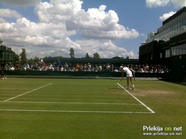 Polona Hercog