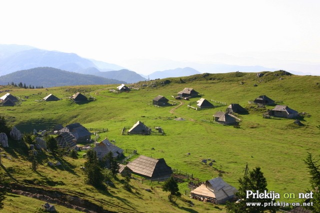 Velika planina poleti