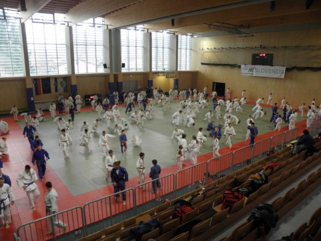 VIII. prednovoletne judo priprave