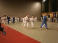 VIII. prednovoletne judo priprave