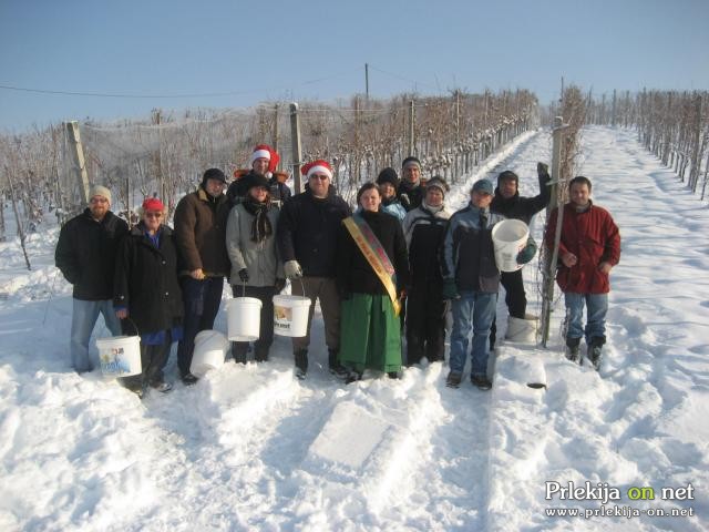 Vinska kraljica vabi na Martinovanje Vinska kraljica vabi na Martinovanje