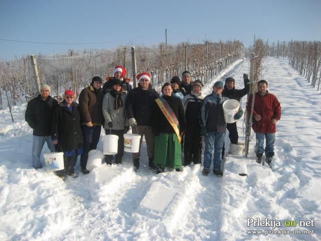 Vinska kraljica vabi na Martinovanje