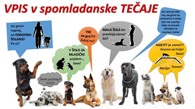 VPIS V TEČAJE ŠOLANJA PSOV