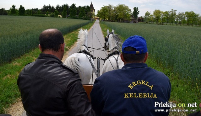 Uživanje v vožnji s kočijo Uživanje v vožnji s kočijo