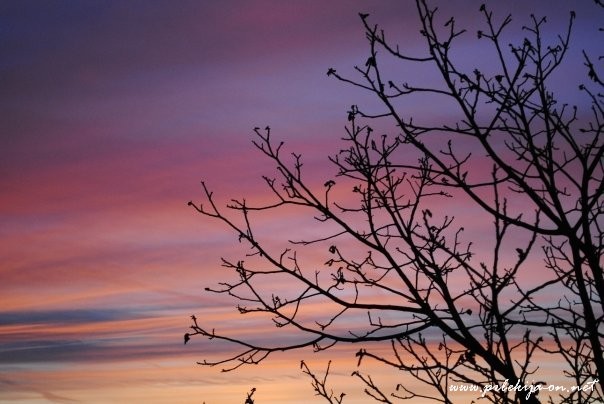 Slika Purple Sky uporabnice teya Slika Purple Sky uporabnice teya