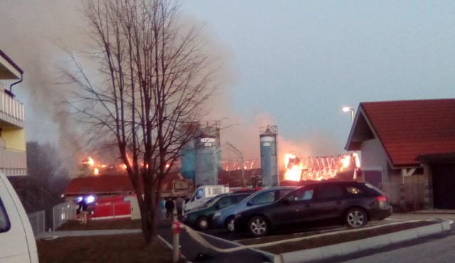 Požar pri Sveti Ani, foto: FB Požar pri Sveti Ani, foto: FB