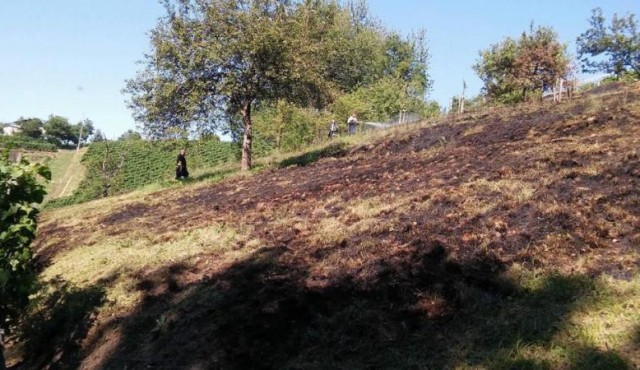 Požar trave in grmičevja, foto: PGD Ivanjkovci