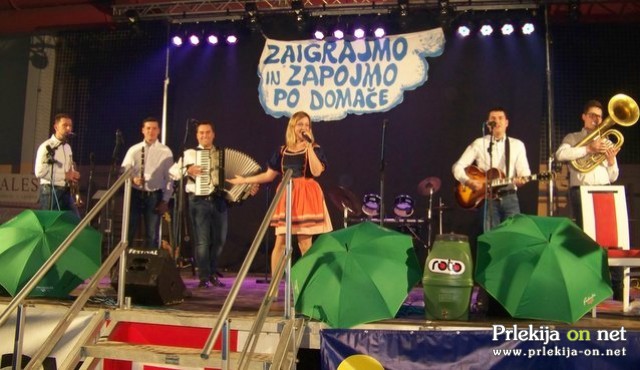 Zaigrajmo in zapojmo po domače Zaigrajmo in zapojmo po domače