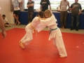 Zaključno kolo prleške judo lige