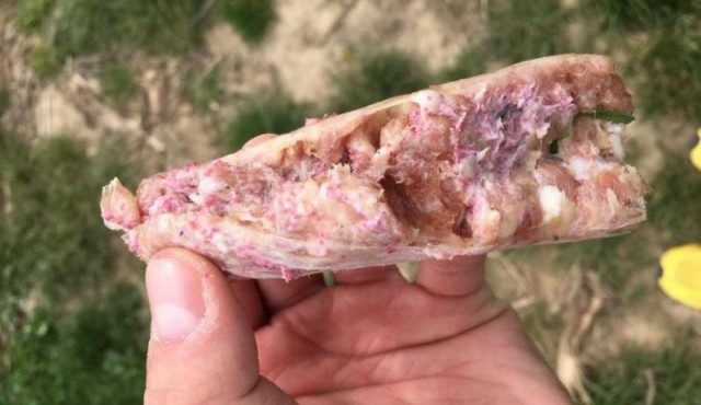 Zastrupljen kos mesa, ki ga je neznanec nastavil v Apačah, foto: pesmojprijatelj.si Zastrupljen kos mesa, ki ga je neznanec nastavil v Apačah, foto: pesmojprijatelj.si