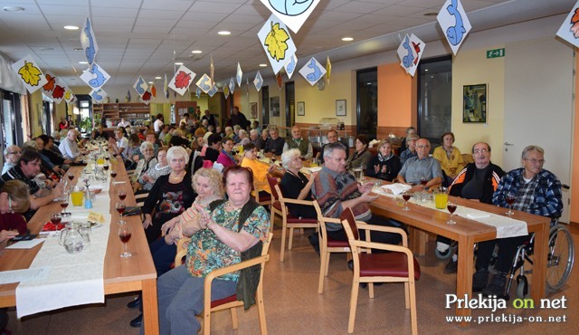 Dalmatinski popoldan v DOSOR-ju Dalmatinski popoldan v DOSOR-ju