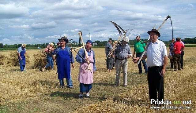 Žetev zlatega klasja v Rakičanu Žetev zlatega klasja v Rakičanu
