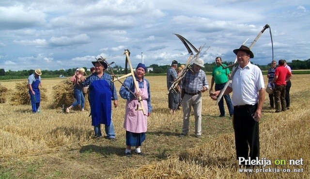 Žetev zlatega klasja v Rakičanu